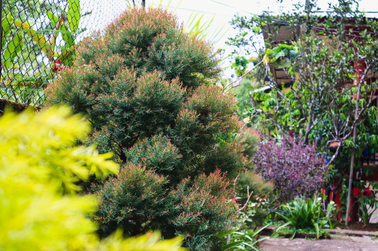 Sitha'S Heaven Bed & Breakfast Ella Luaran gambar
