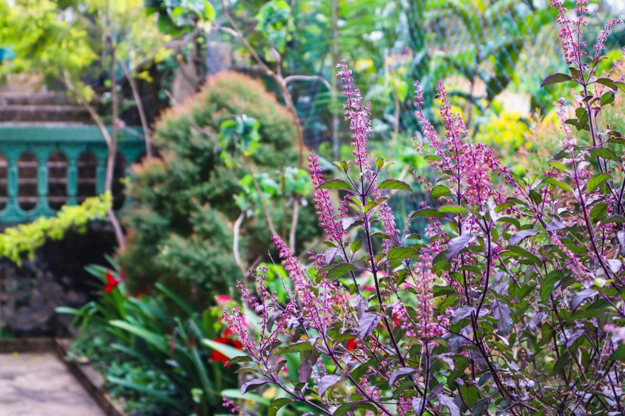 Sitha'S Heaven Bed & Breakfast Ella Luaran gambar